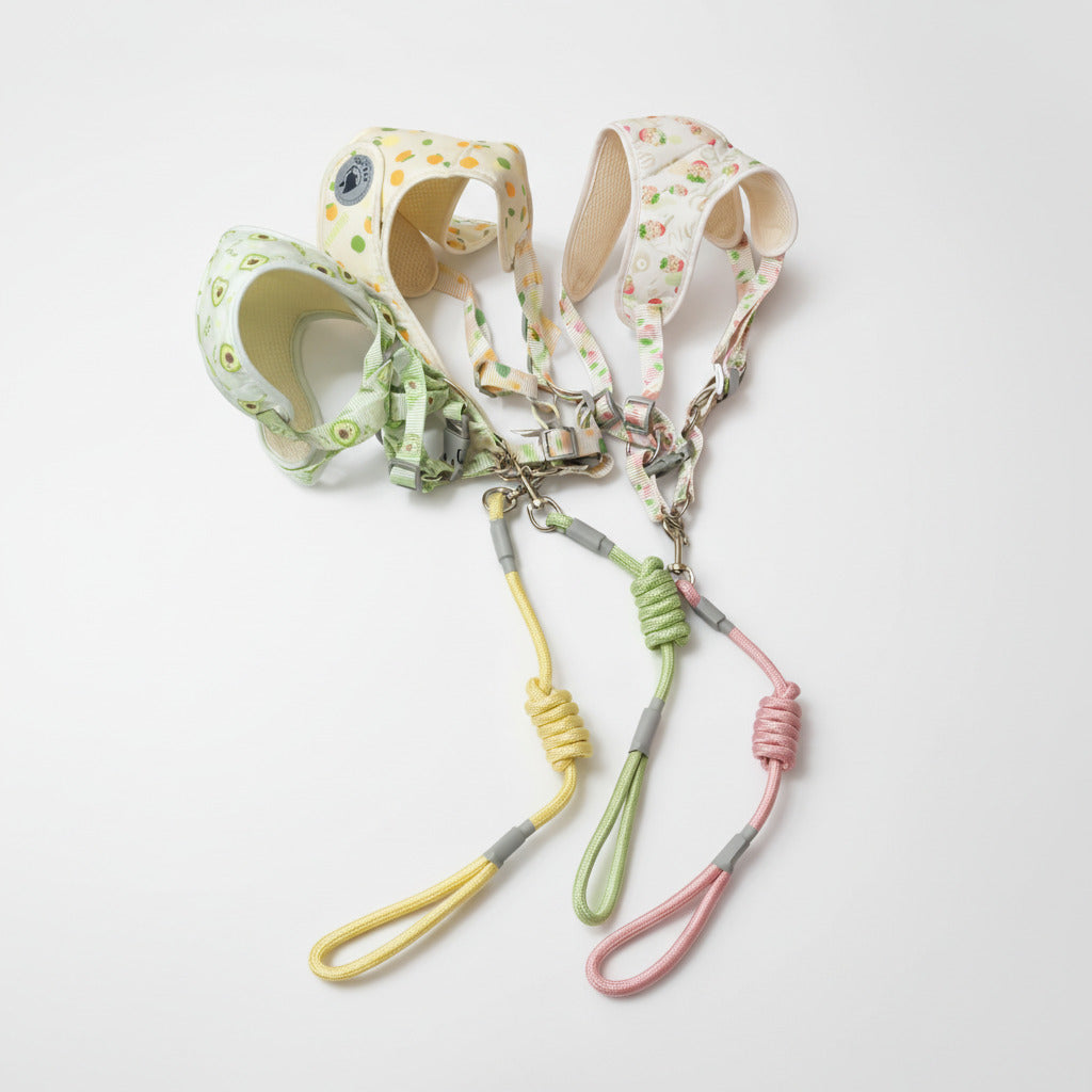Fruit-Pattern Mesh Comfort Harness & Rope Leash Set - Medium Breed (8-12kg)