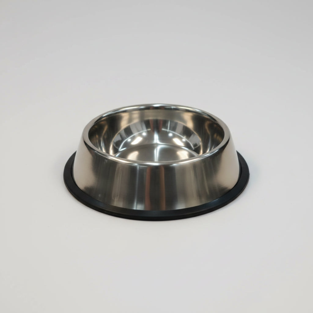 Stainless Steel Bowl for Kittens and Small Dogs