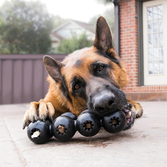 KONG Extreme Goodie Ribbon – Ultra-Durable Rubber Treat Dispensing Toy for Power Chewers