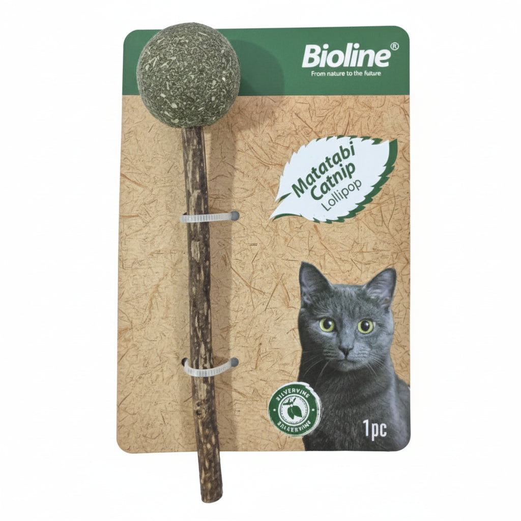 Bioline Catnip Lolipop