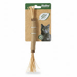 Bioline Raffia Sticks