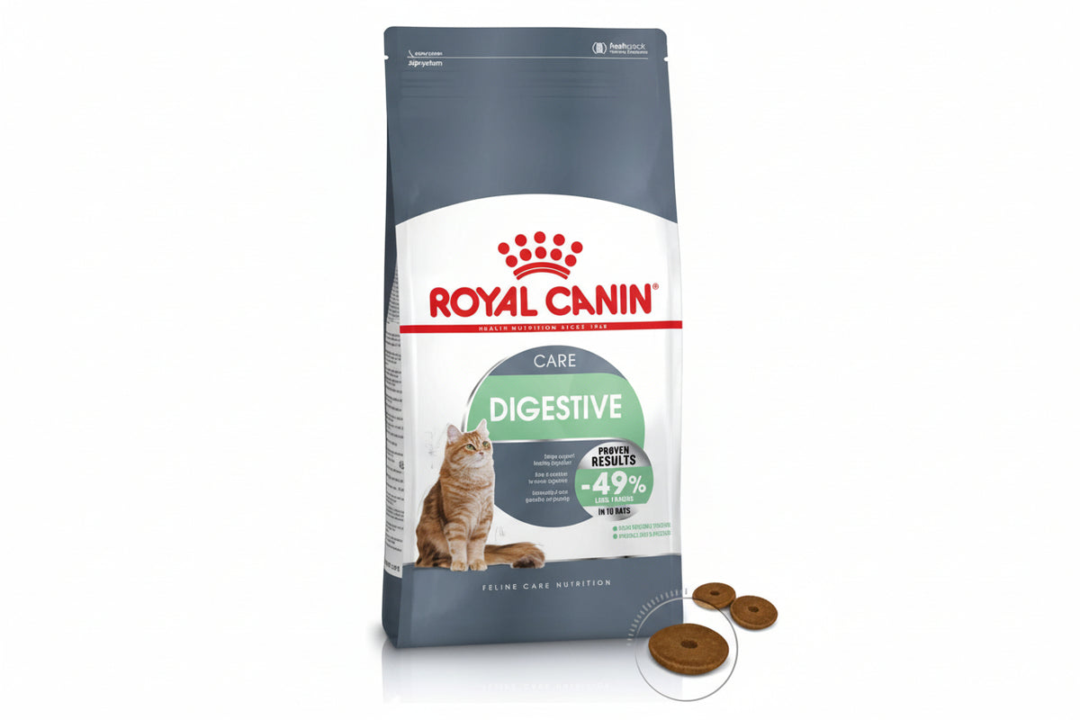 Royal Canin Digestive Care Cat Dry Food for Adults