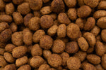 Junior Medium - Dog For Medium Breeds