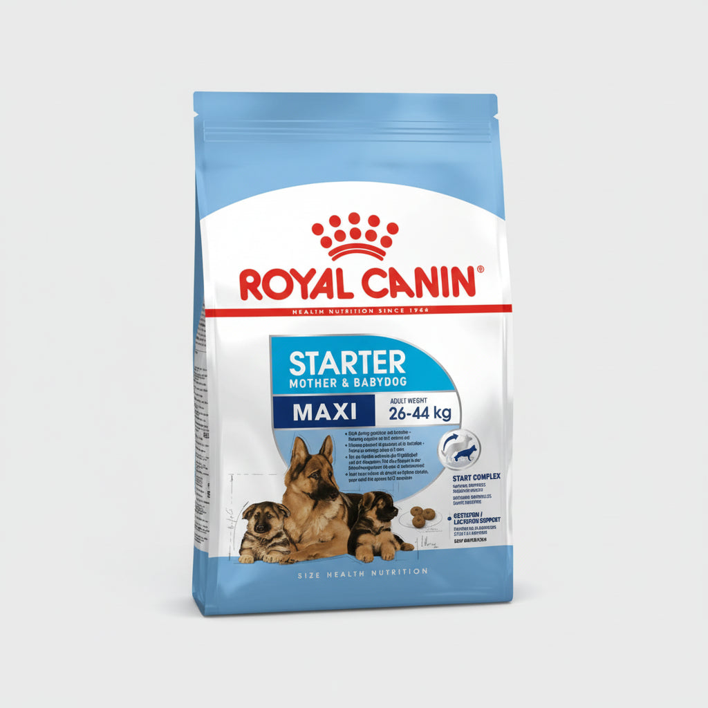 ROYAL CANIN MEDIUM STARTER M&B - 4KG