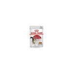 Royal Canin Instinctive Jelly - 85gm