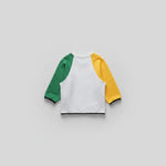 Urban Color-Block Pet Hoodie – Tri-Tone Fleece-Lined Winter Wear