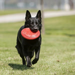 KONG Flyer – Durable Natural Rubber Flying Disc Dog Toy for High-Energy Fetch