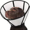 Protective Recovery Cone for Cats & Dogs