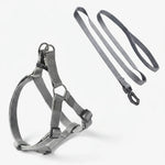 Dogness Modal Earth Harness & Leash Set