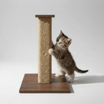Petmoda Cat Moda Pillar Mini Size 60*40 Cm