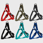 Nunbell Basic Adjustable Nylon Pet Harness - Size M-L (2.0cm x 50-65cm) - Teal