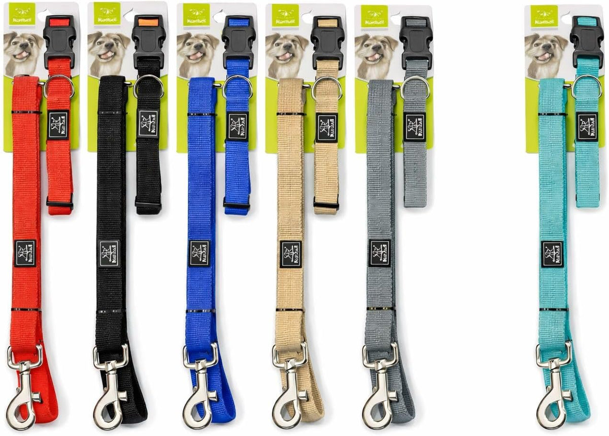 Nunbell 2-in-1 Pet Collar and Leash Set - Teal (Matching Walking Kit)