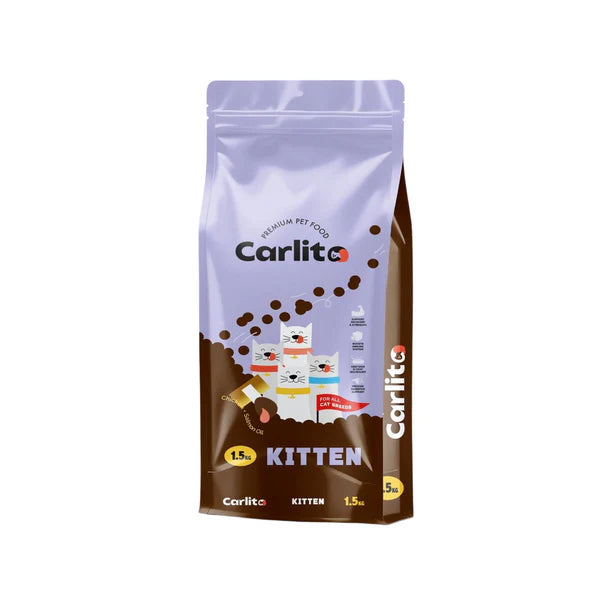 Carlito Cat Kitten