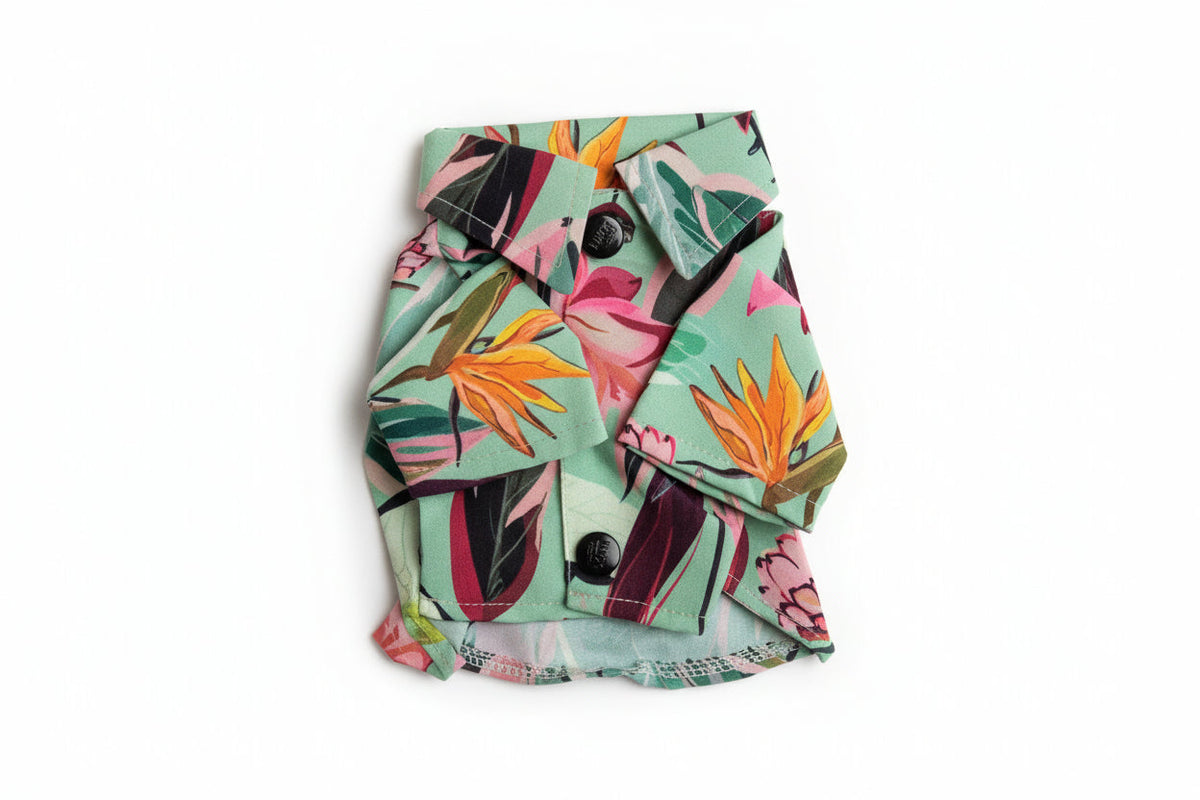 Hawaiian Shirt For Small Dogs xs