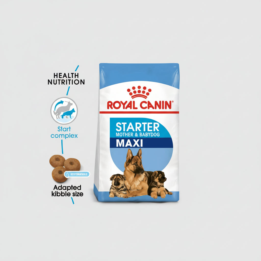 ROYAL CANIN MEDIUM STARTER M&B - 4KG