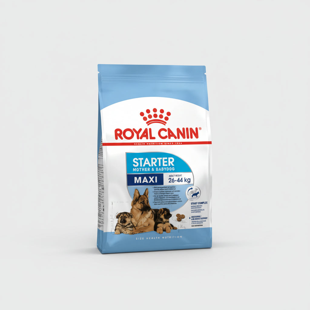 ROYAL CANIN MAXI STARTER M&B - 4KG