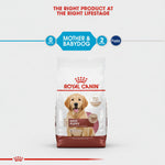 ROYAL CANIN MEDIUM STARTER M&B - 4KG