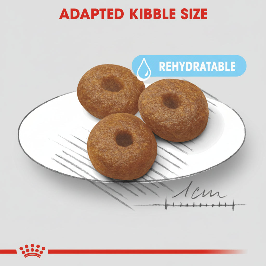 ROYAL CANIN MEDIUM STARTER M&B - 4KG