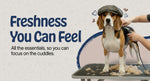 Expert Pet Grooming