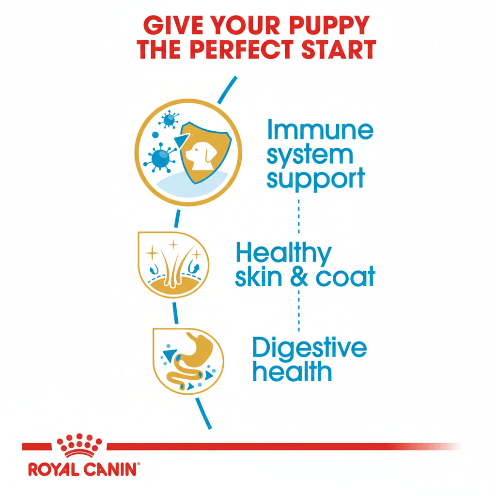 Royal Canin Shih Tzu Junior Dry Dog Food – 1.5kg