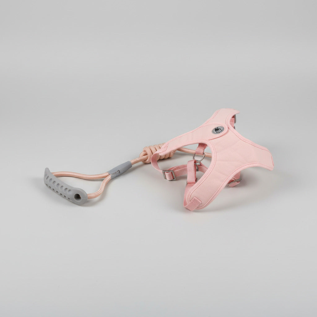 Strawberry Pink Mesh Comfort Harness & Rope Leash Set — Medium Breed (8–12kg)