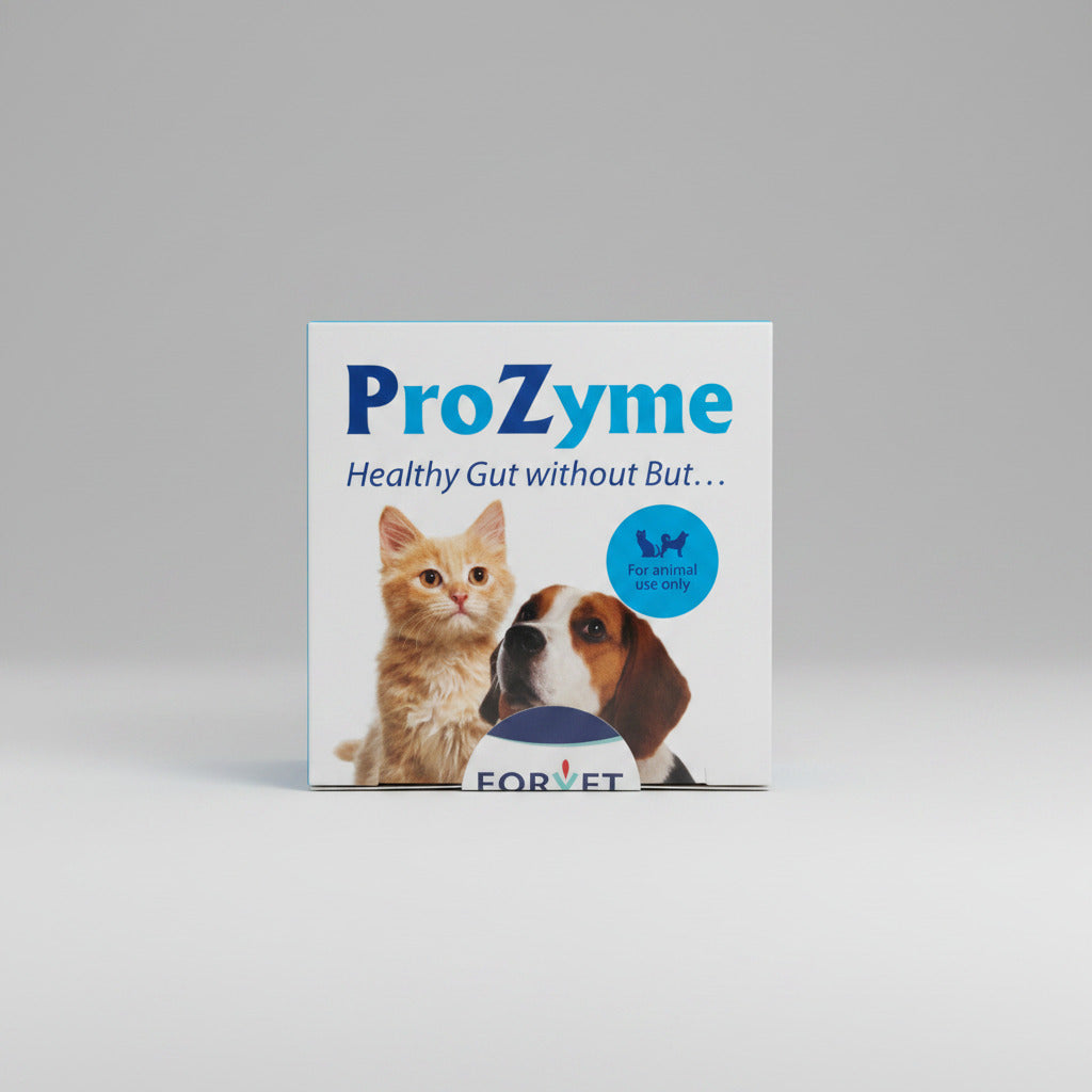 Digestive Enzymes & Probiotics Supplement