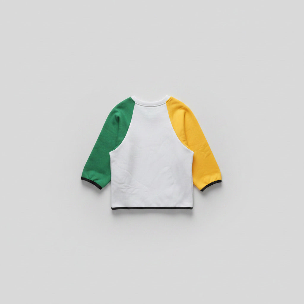 Urban Color-Block Pet Hoodie – Tri-Tone Fleece-Lined Winter Wear