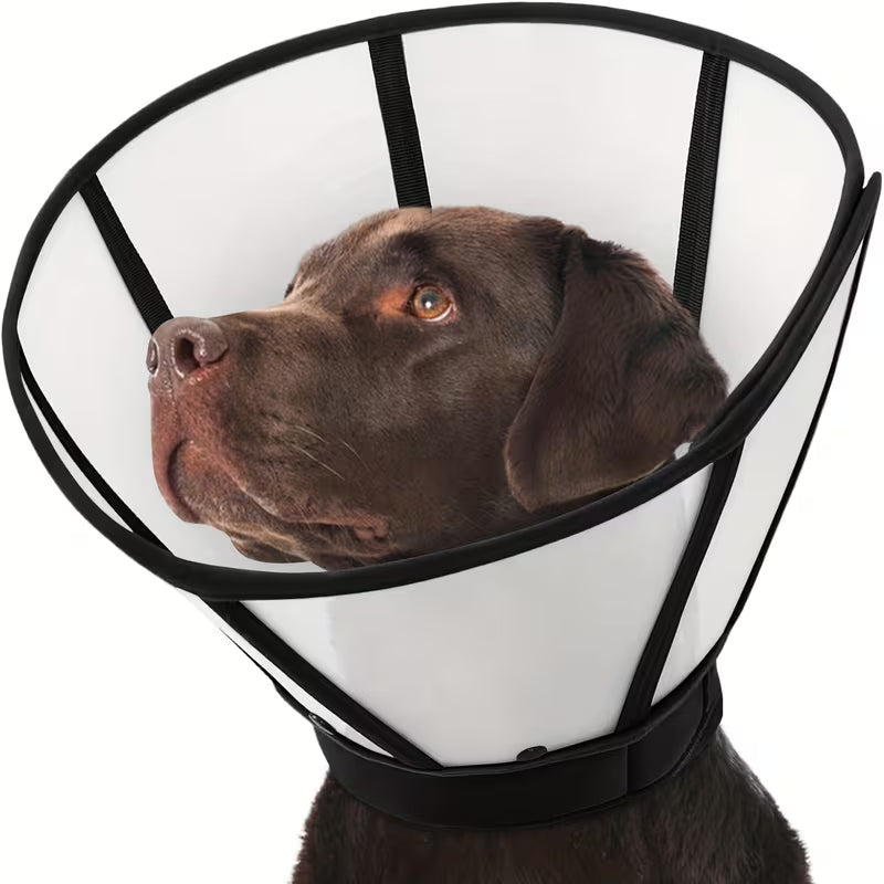 Protective Recovery Cone for Cats & Dogs