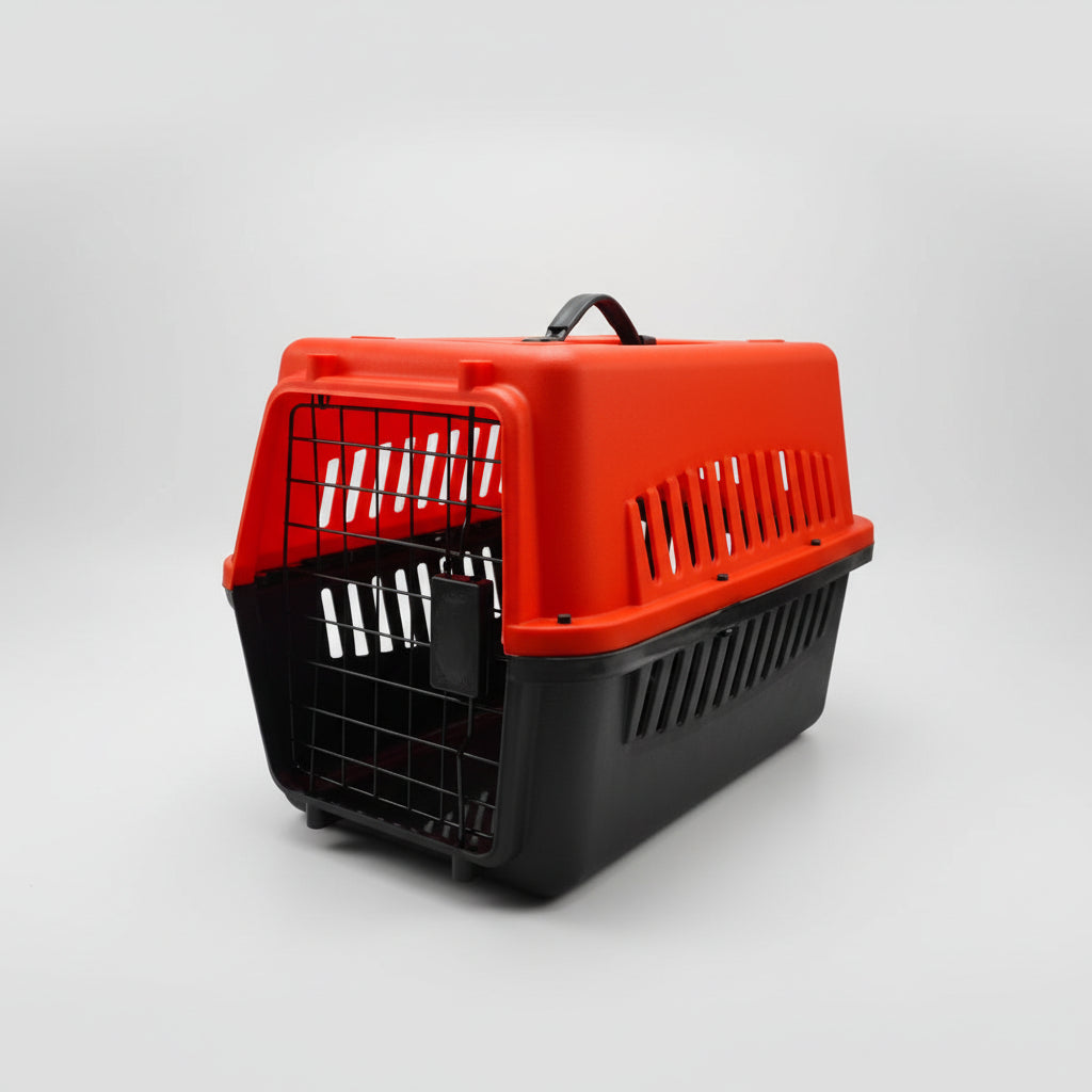 Groovy Cat Box
