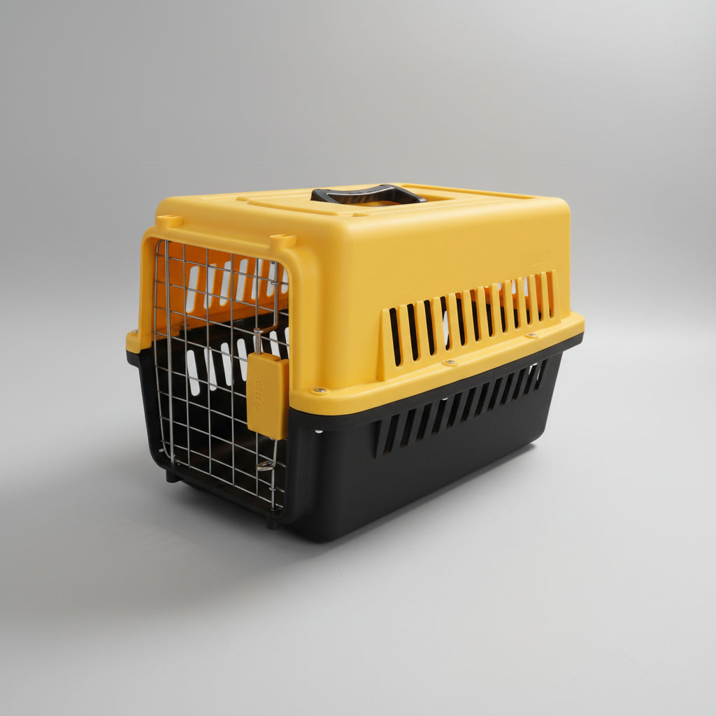Groovy Cat Box