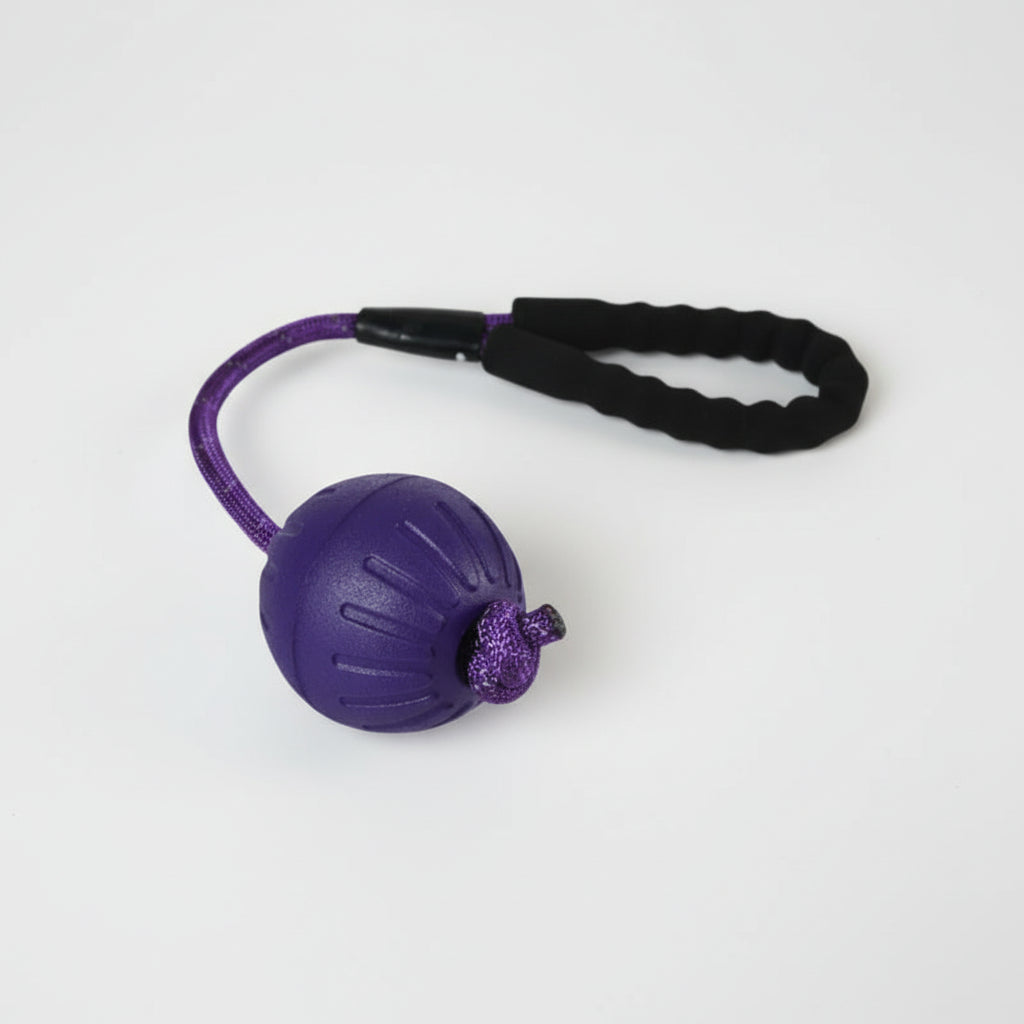 Naomi Dog Bite Toy – Size L