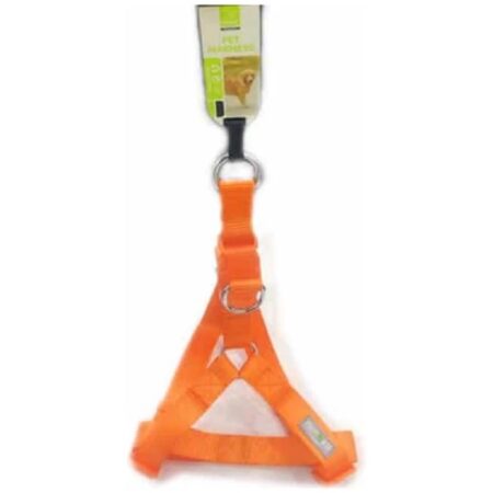 Nunbell Harness 2.5 CM – FLD180146