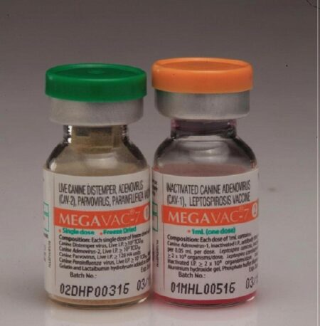 Megavac 7 Veterinary Vaccines, For Veterinary, Packaging Type: Vial