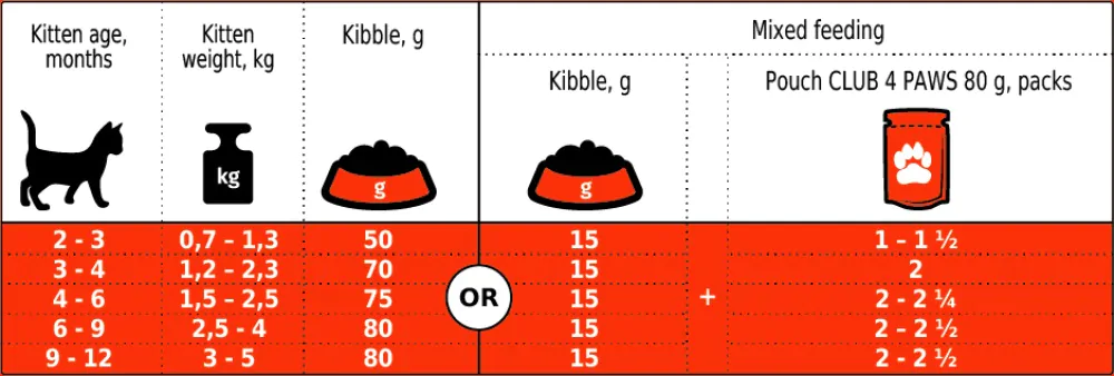 0afd78c5-7d29-4e6c-a8fd-61567f1ee15b-1000x338