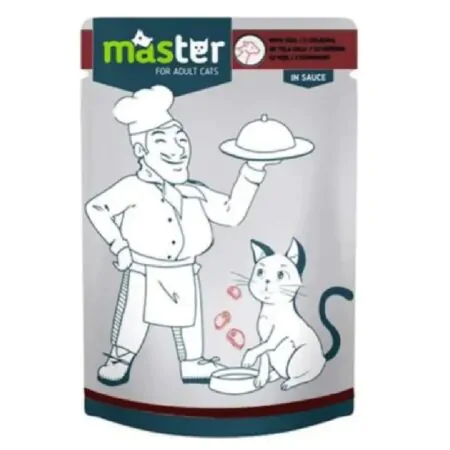 master Pouch chicken in sause 80 g
