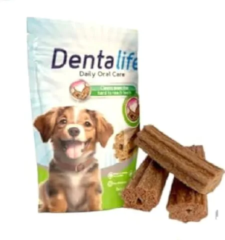 Rich - Denta Life ( Puppy )