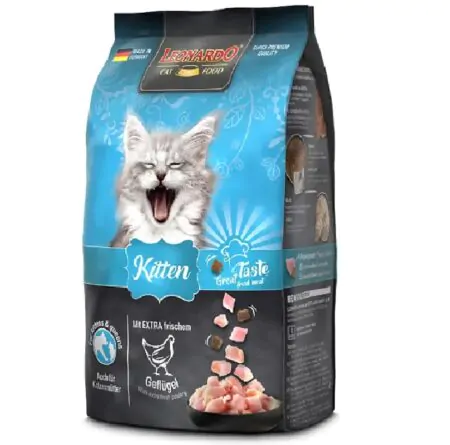 Leonardo Kitten 1.8Kg