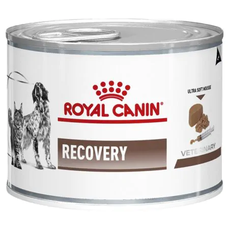 ROYAL CANIN Recovery Nassfutter für Hunde und Katzen Mousse Geflüg