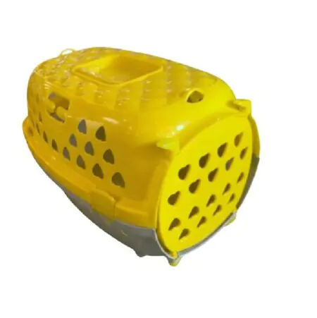 box joy cat dog hearts